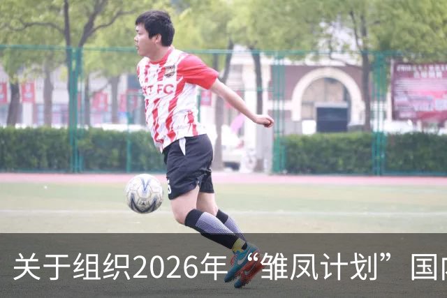 关于组织2026年“雏凤计划”国内选拔总营的通知