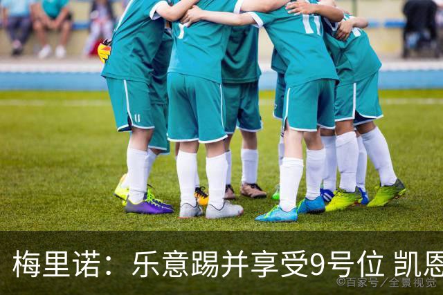 梅里诺：乐意踢并享受9号位 凯恩与我风格相似2优1劣